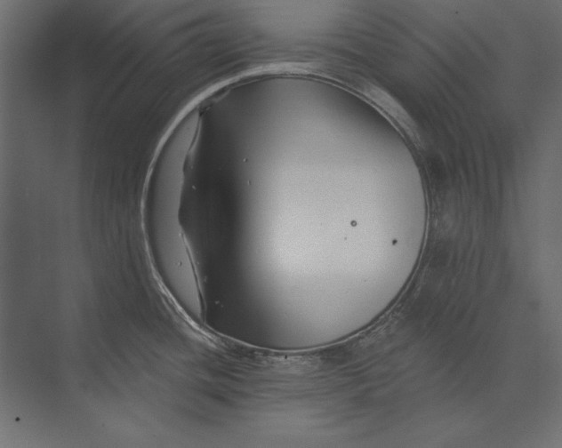 X0000073421436200608181109