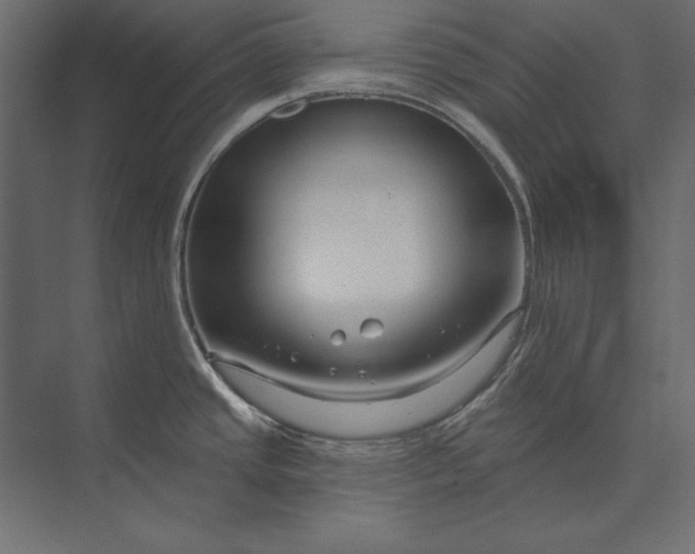 X0000073421437200608181109