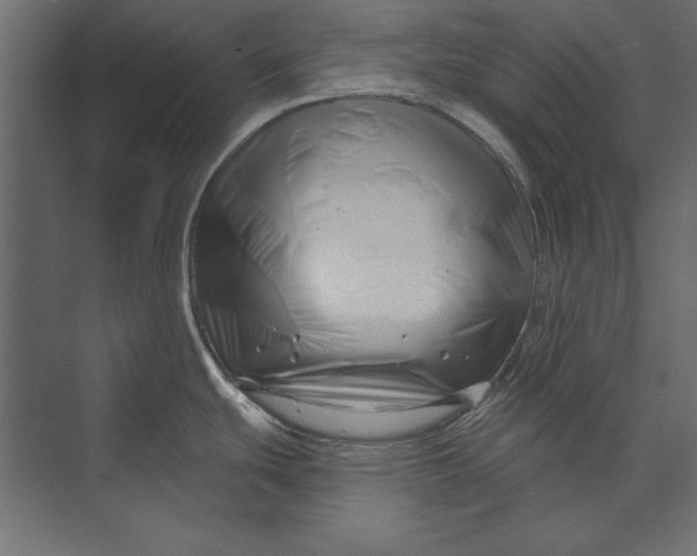 X0000073421439200608181110