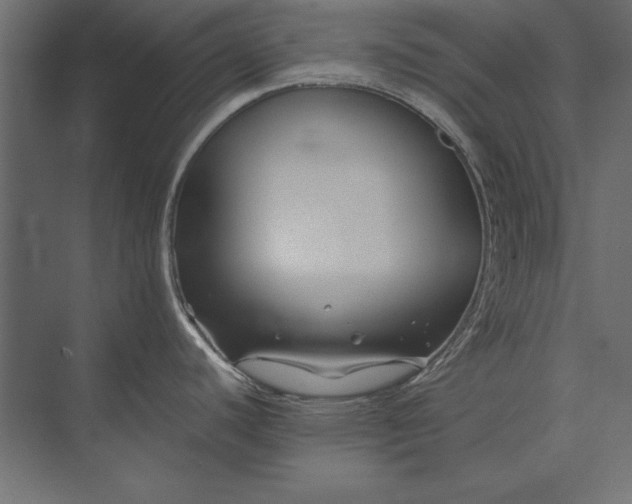 X0000073421440200608181110