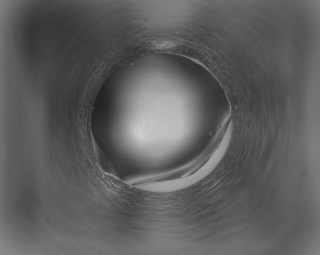 X0000073421441200608181109