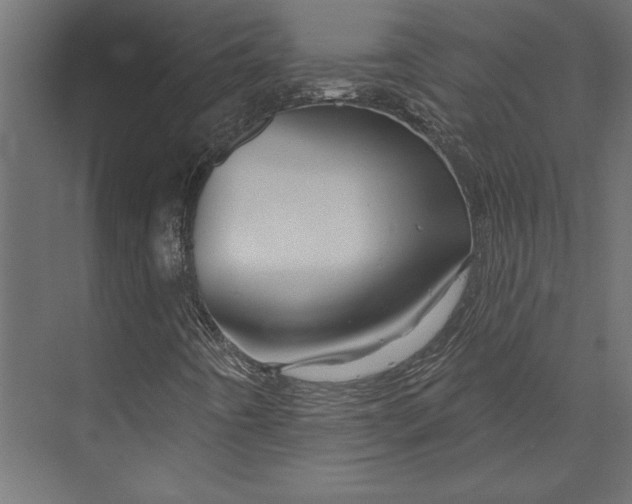 X0000073421442200608181109