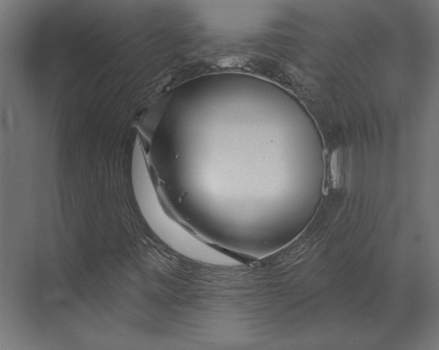 X0000073421443200608181109