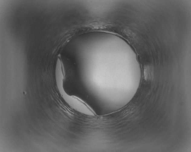 X0000073421444200608181109