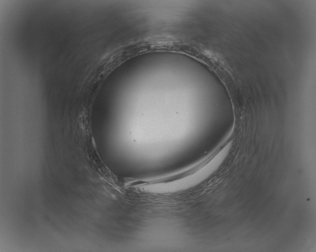 X0000073421445200608181109