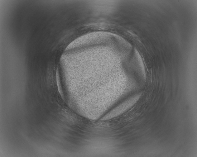 X0000073421446200608181109