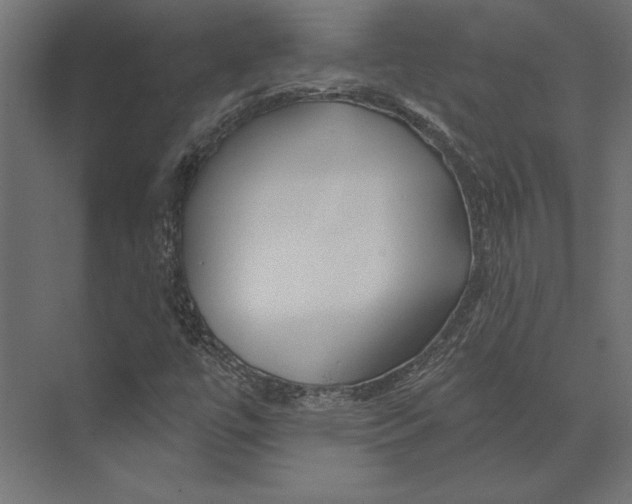 X0000073421447200608181109