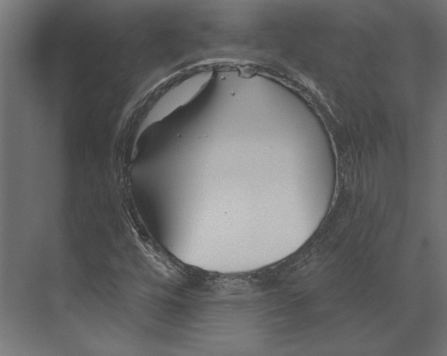 X0000073421448200608181109