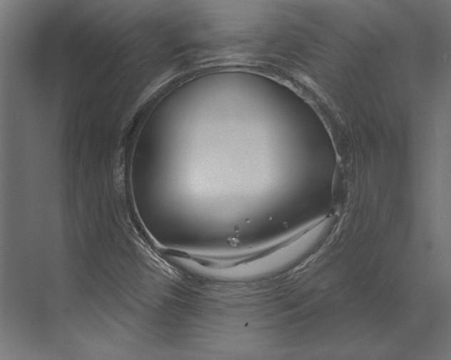 X0000073421450200608181109