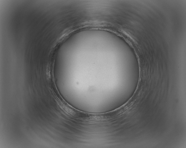 X0000073421451200608181109