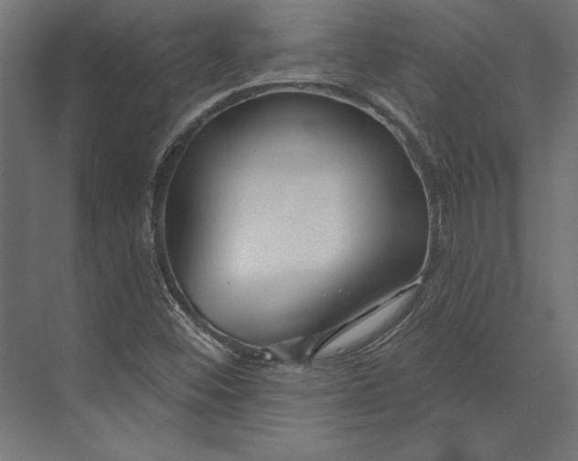 X0000073421452200608181109