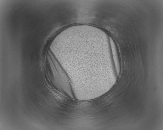 X0000073421454200608181108