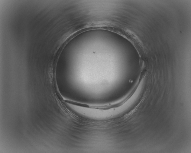 X0000073421457200608181108