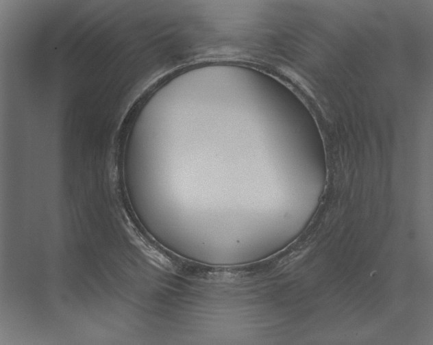 X0000073421458200608181108