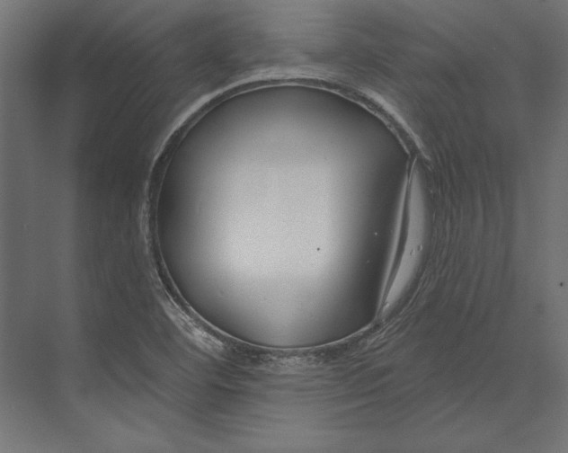 X0000073421460200608181108