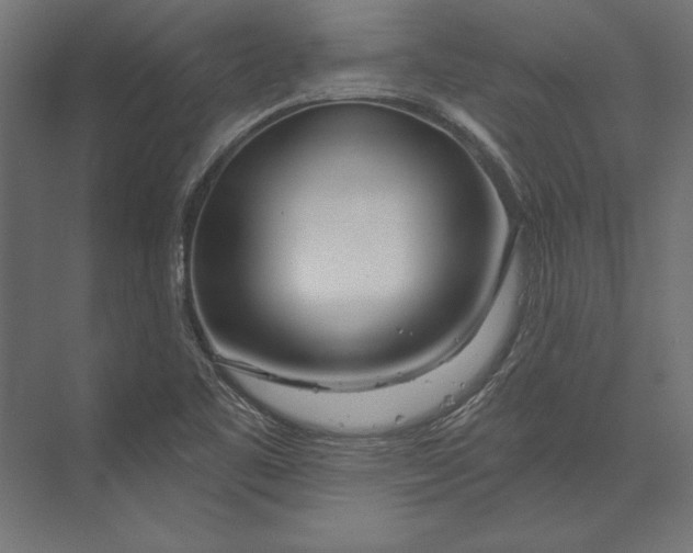 X0000073421461200608181108