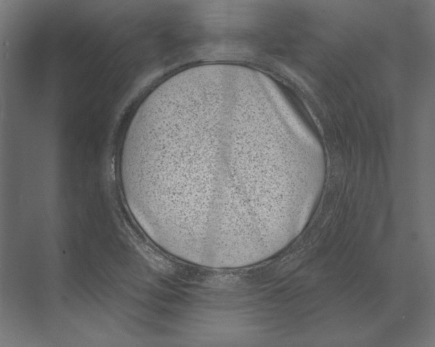 X0000073421462200608181108