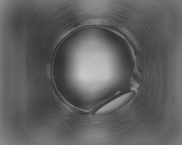 X0000073421465200608181108