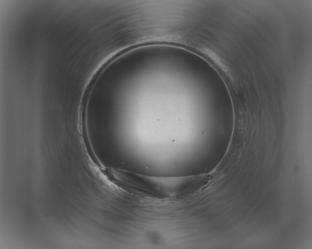 X0000073421468200608181108