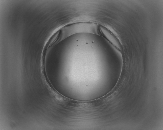 X0000073421469200608181108