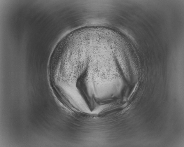 X0000073421471200608181108