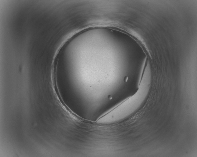 X0000073421472200608181108