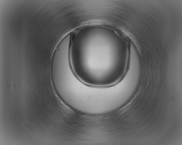 X0000073421473200608181108