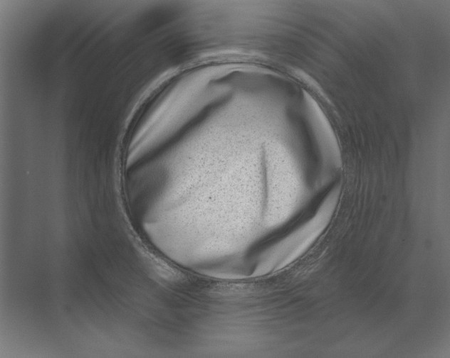 X0000073421474200608181108