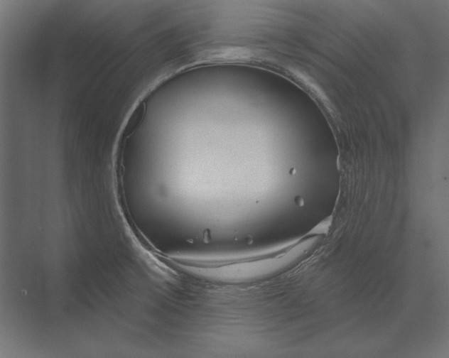 X0000073421475200608181108