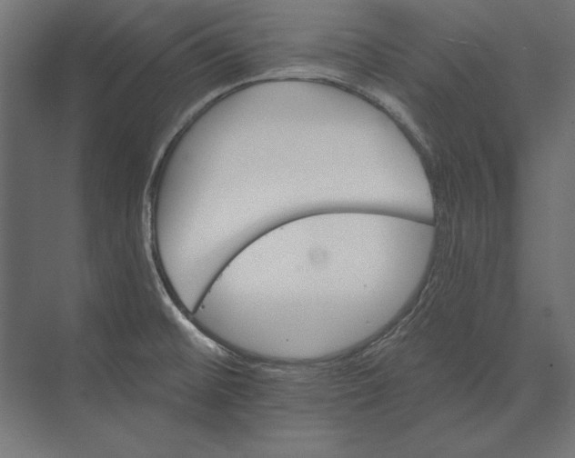 X0000073421476200608181108