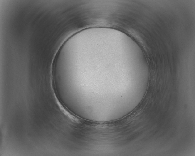 X0000073421479200608181108