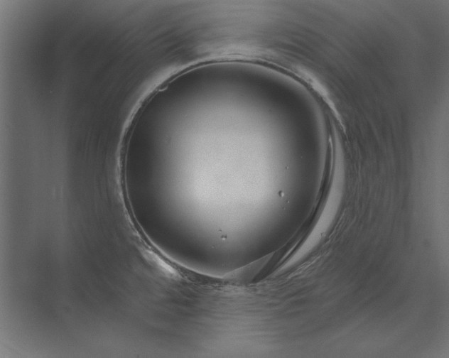 X0000073421480200608181108