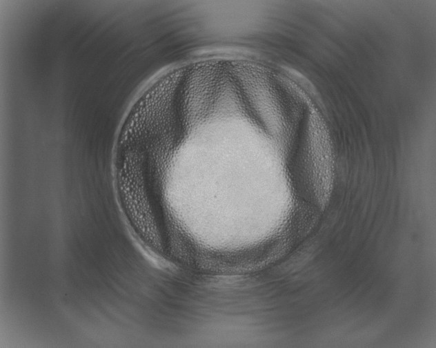 X0000073421482200608181108