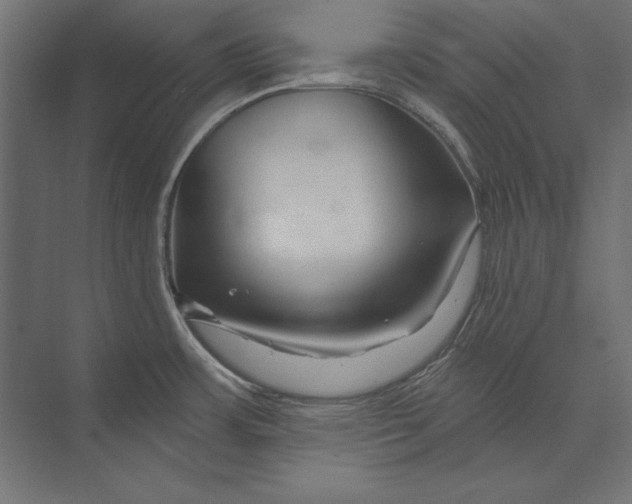 X0000073421483200608181108