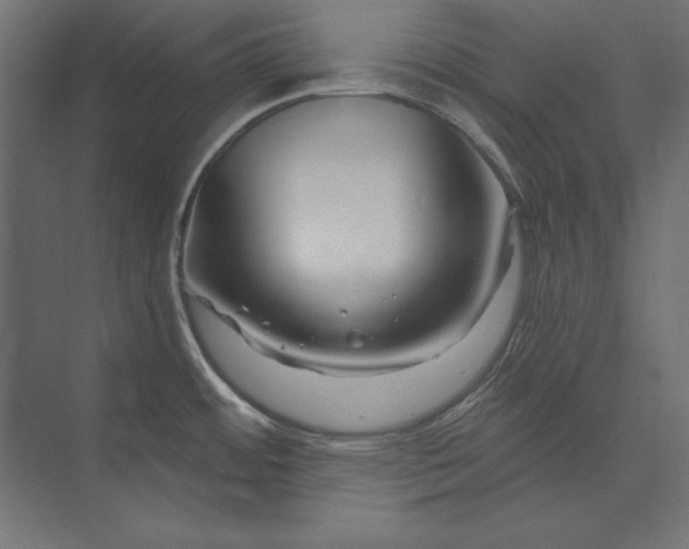 X0000073421484200608181108