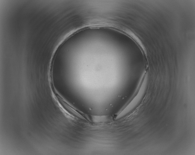 X0000073421485200608181108