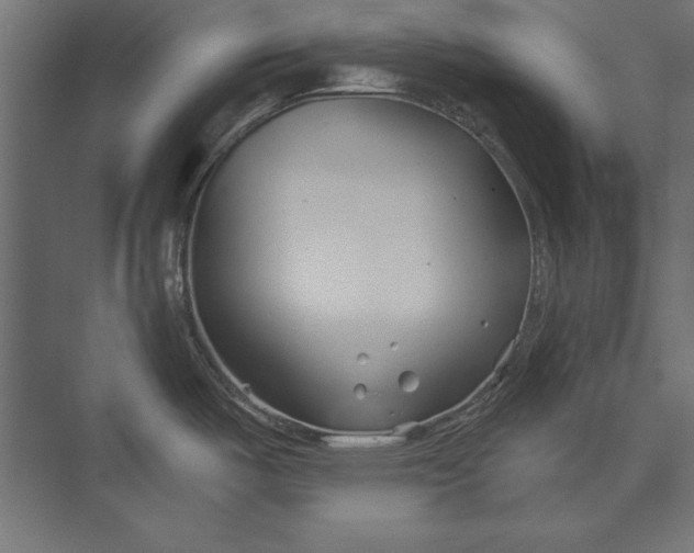 X0000073421487200608181108