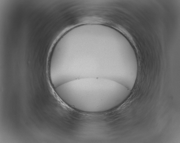 X0000073421488200608181108