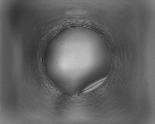 X0000073421489200608181107