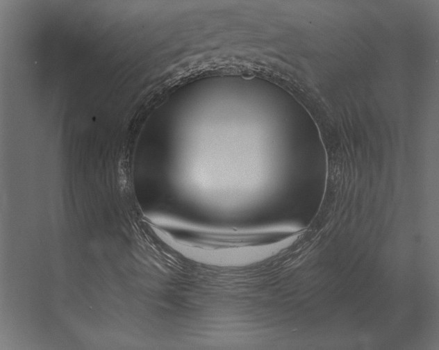 X0000073421490200608181107