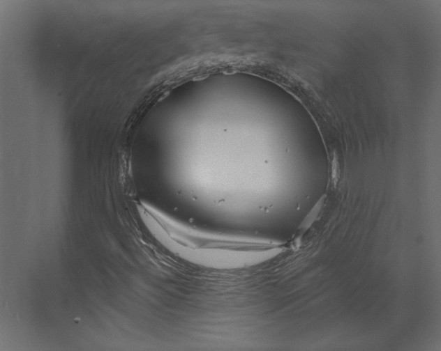 X0000073421492200608181107