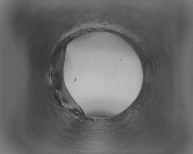 X0000073421494200608181107