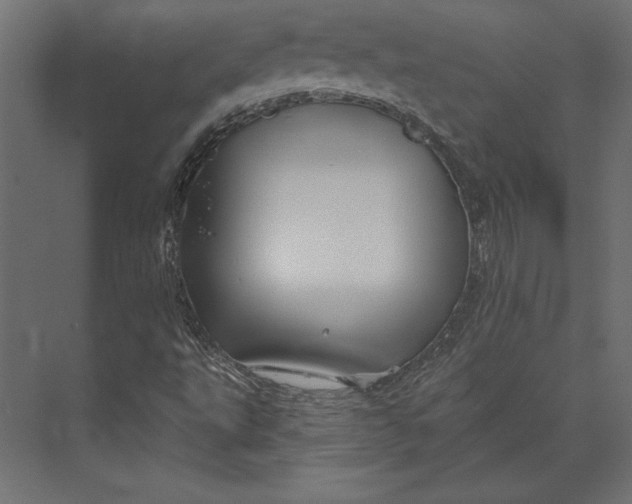 X0000073421495200608181107