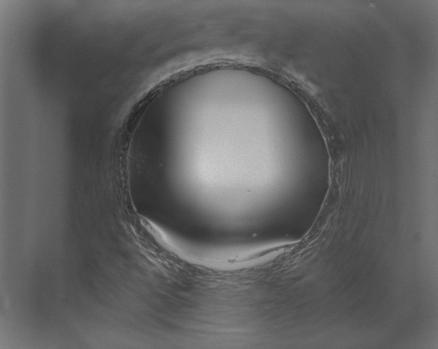 X0000073421496200608181107