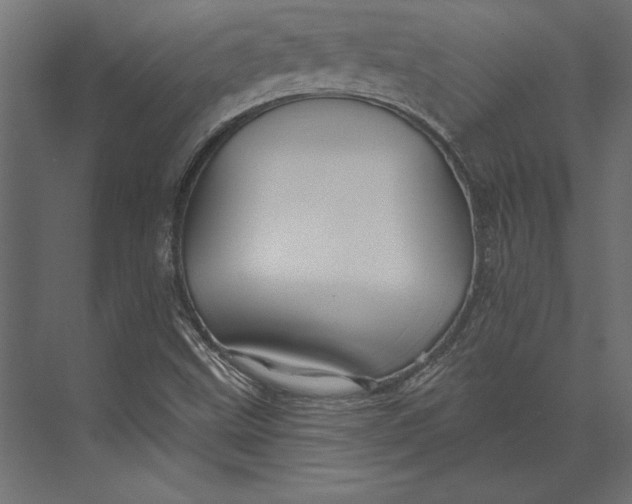 X0000073421499200608181107