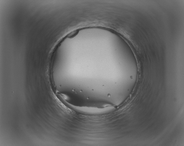 X0000073421500200608181107