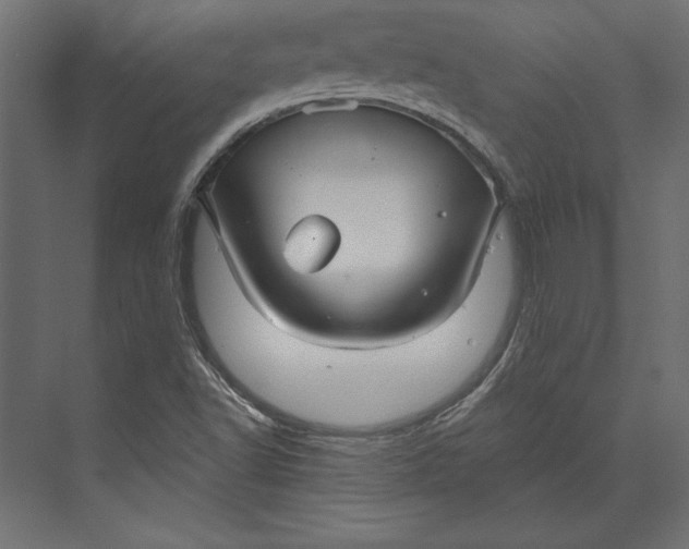 X0000073421502200608181107