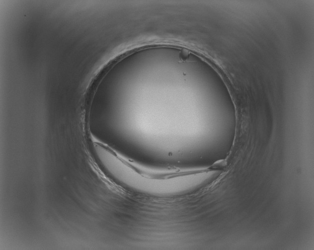 X0000073421503200608181107