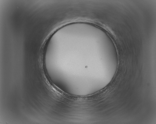 X0000073421504200608181107