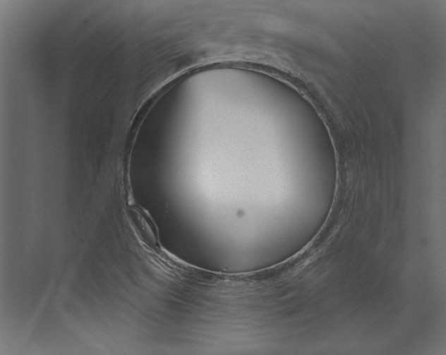 X0000073421505200608181107